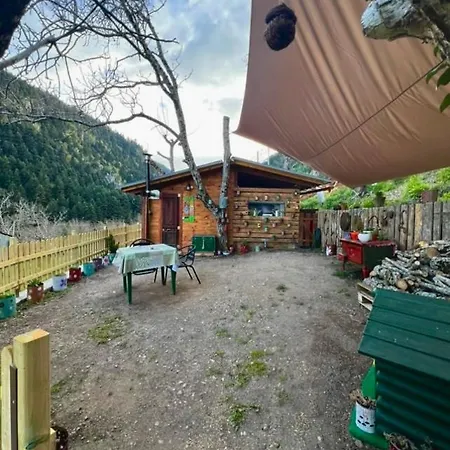 Rvilla Pavliani