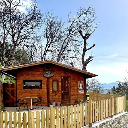 Holiday home Rvilla