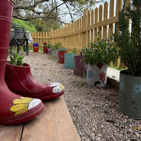 Semesterbostad Rvilla